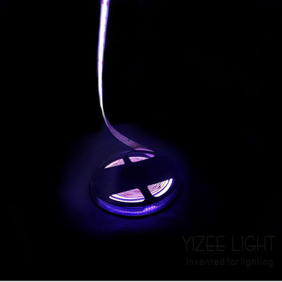 Χωρίς κουκίδες Χρωματιστό Cob Rgb Rgbw Διευθύνεται LED Strip 784Chips/M 24V 12mm
